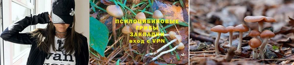 apvp Белоозёрский