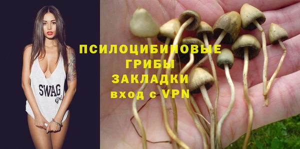 apvp Белоозёрский