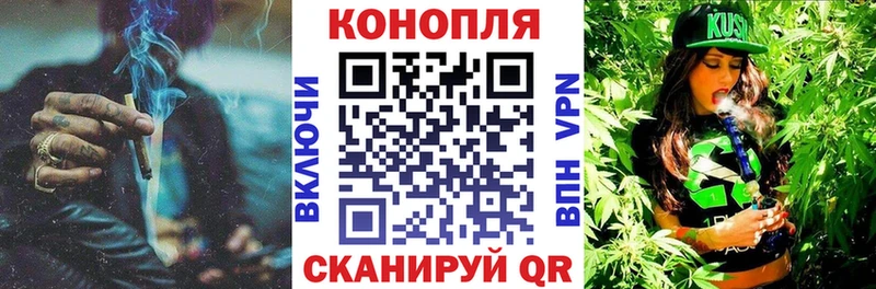 Купить  Ветлуга  Каннабис сатива 